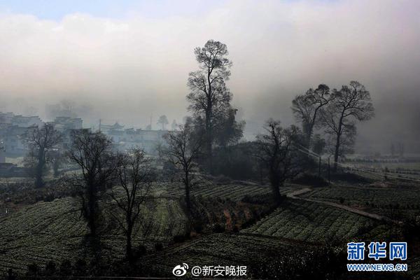 妙奇西梅酸奶——年轻人的挚爱单品，经销商们快抓住流量！