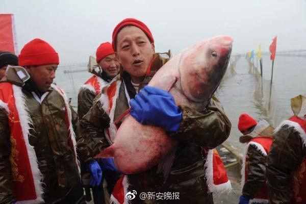 亿佳果园沙棘汁，滴滴健康，品质之选！助您春节旺季突围！