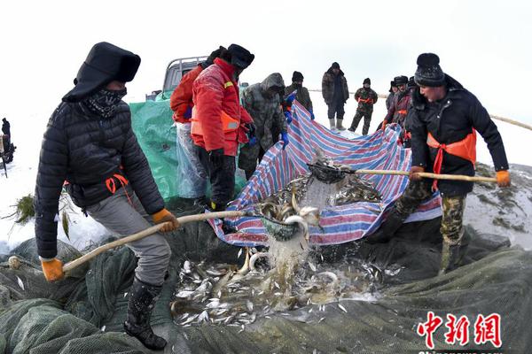 山东食物博览会进行时，燕小麦燕麦果粒酸奶燃爆全场！