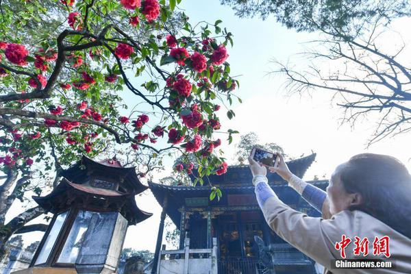 文艺演出接地气 社区居民齐称誉