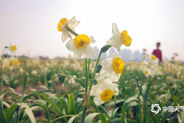 令德堂复合乳酸菌果汁，高品质、好口感，春节热销，市场火爆！