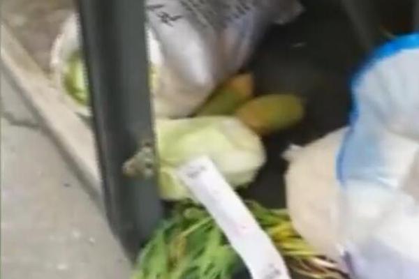 动销迅猛，疯狂入局！润果恬椰果果粒果汁领跑大市场！