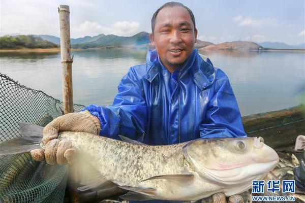豫树河南烩面——以厨房味道还原乡味乡情！