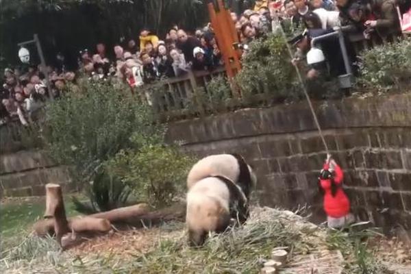 17岁少年醉驾超支电动车出门被查办 还想着下一年考驾照