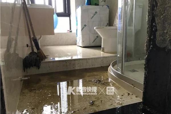 因为他善热刺主场翻车送伊普斯维奇赛季首胜伊镇脱离降级区