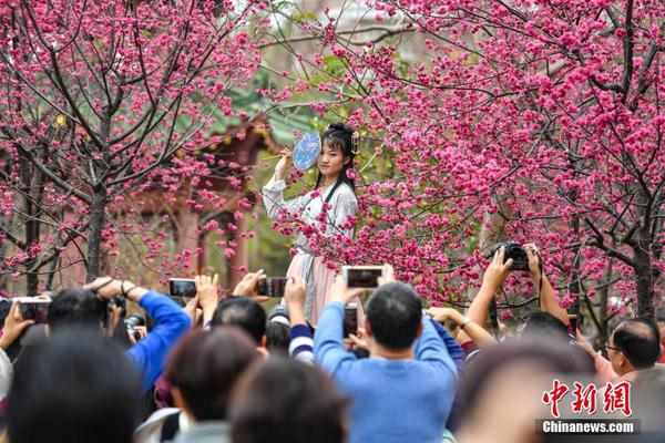 淮北梆子戏《大国农匠》唱响田间赞歌