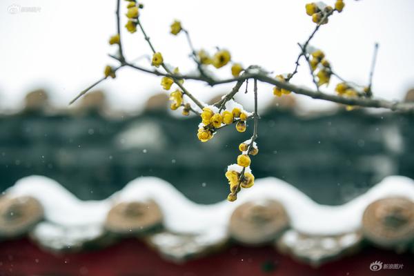 让蚌埠历史文化“活”起来