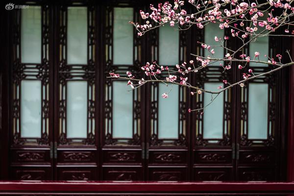 走进老茶厂 研学茶文化