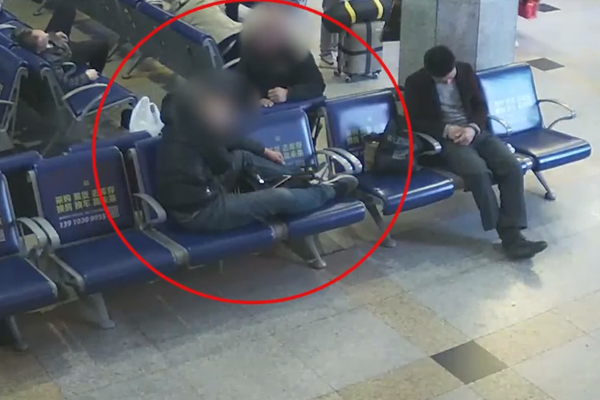 看福鼎产业融合焕新颜