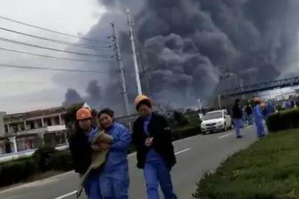 椰老头椰子汁丨7天采摘，2小时榨汁这个味道才叫鲜！