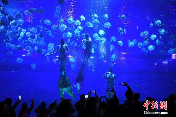 公益艺术训练活动举办报告展演