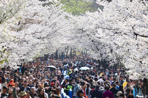 2025年书香黄山第十二届徽州读书节发动