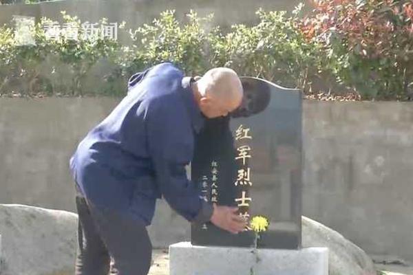 合肥市近300名太极选手同台竞技