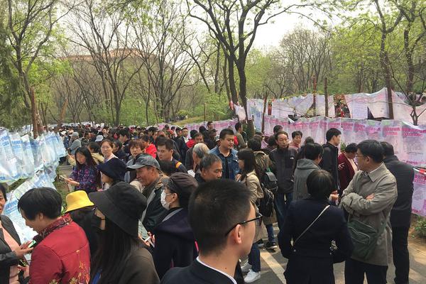 问鼎pg官方入口最新版