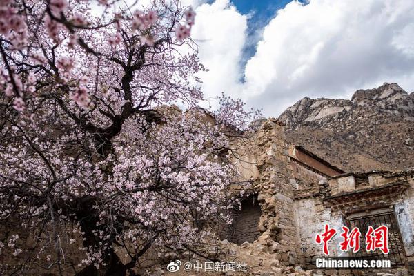 铜陵市员工运动会五人制足球赛闭幕