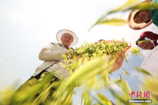 顶羊脱膻山羊奶，不腥膻、易吸收！高端品质，火爆招商！