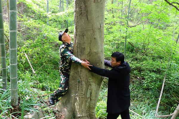 至德小学在县书画竞赛中获佳绩