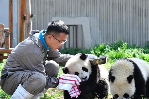 萧县在刘套镇千亩桃园举行第三十三届桃花笔会