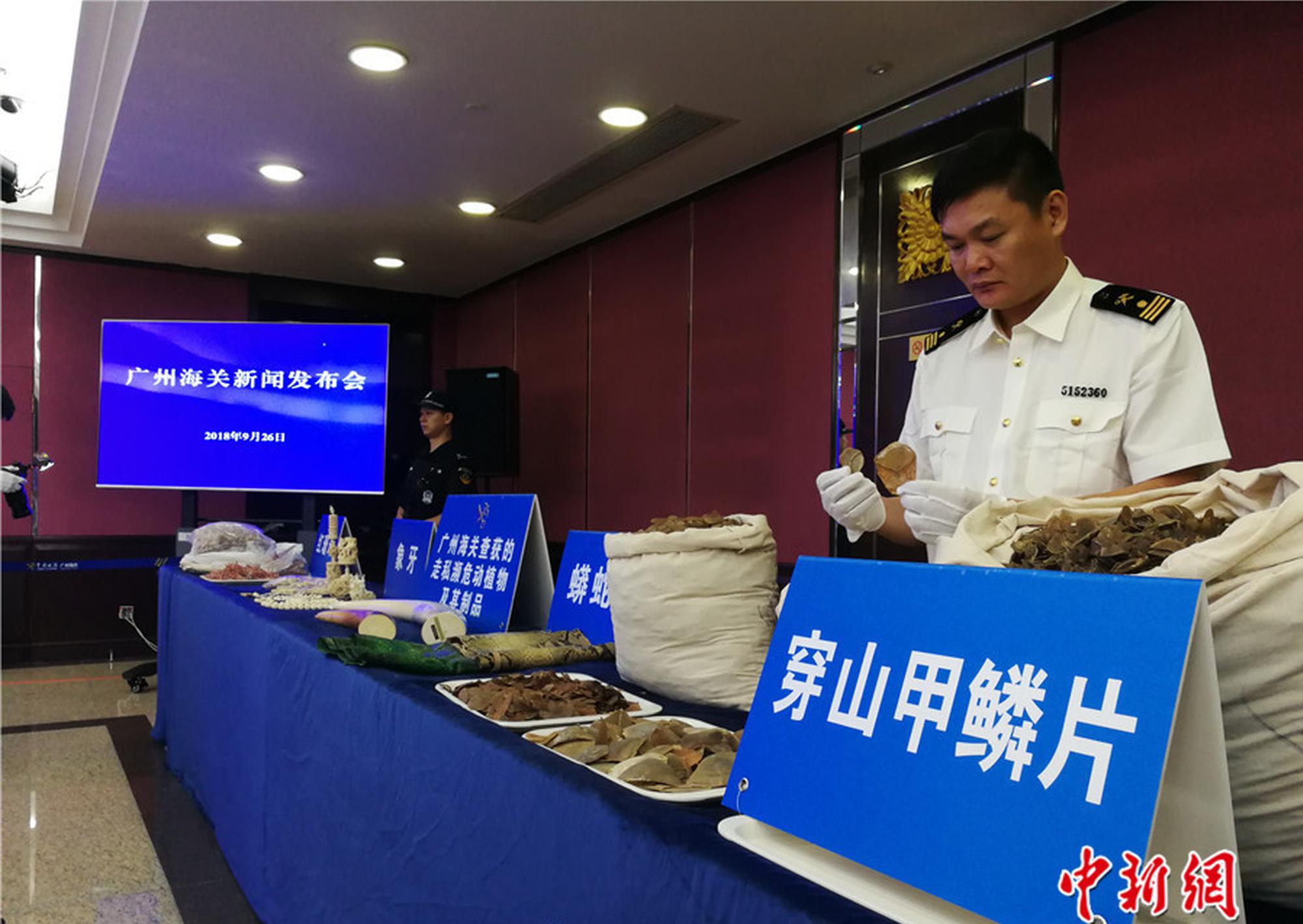 苏埠镇展开“江淮普法行”法治宣扬进校园活动