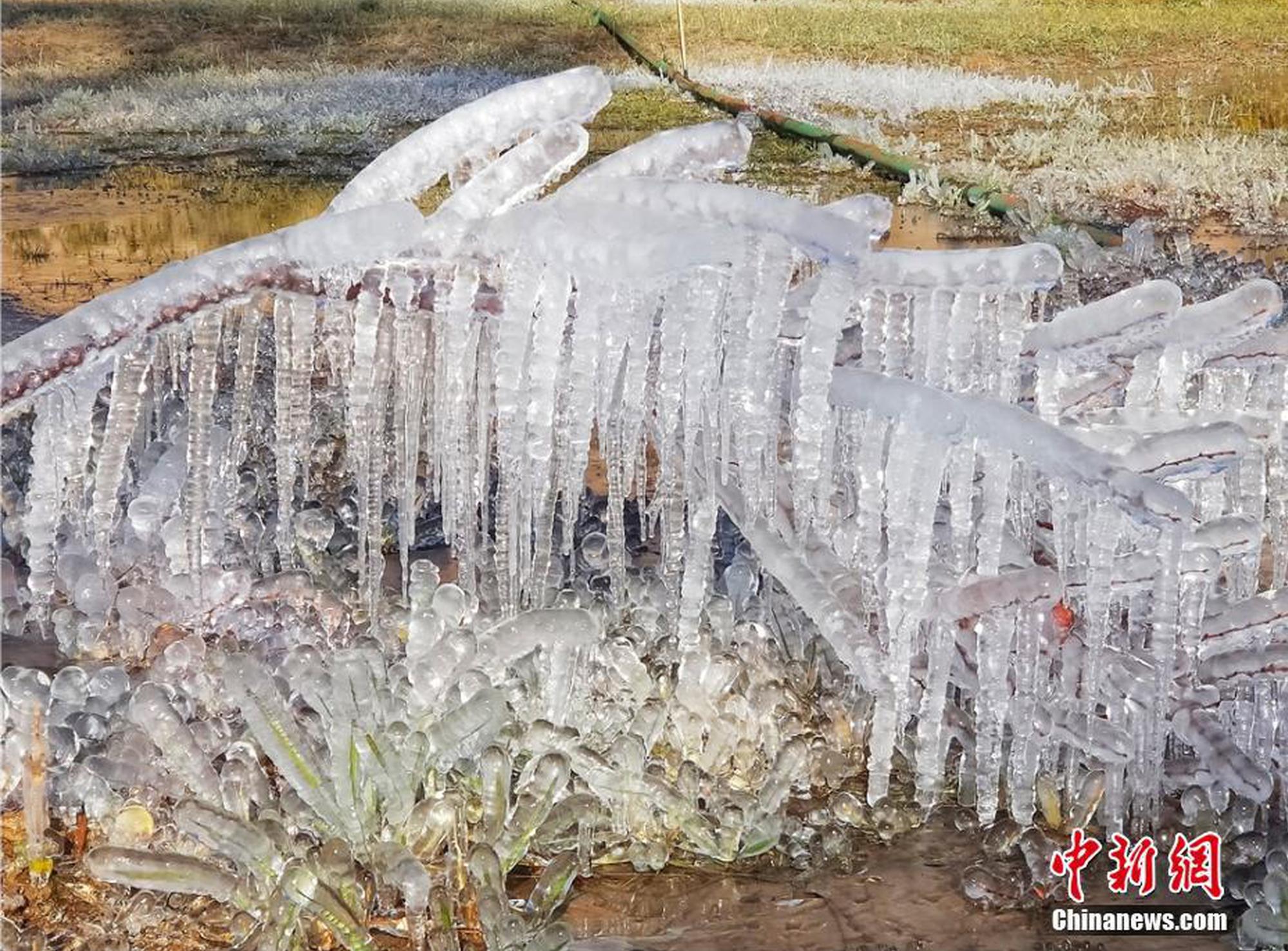 琅琊丰山大街弘 扬端午传统文化