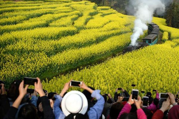 进步农家书屋管理员本质 满意大众多样化阅览需求