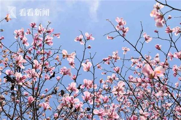 文艺演出送至大演乡敬老院