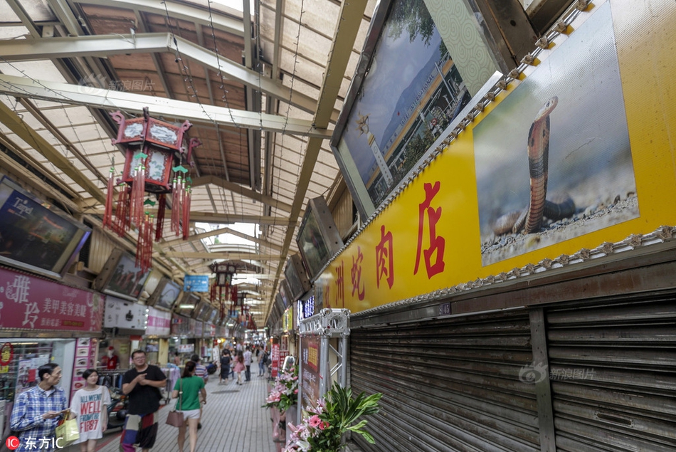 “我的书屋·我的梦”完结搜集选送