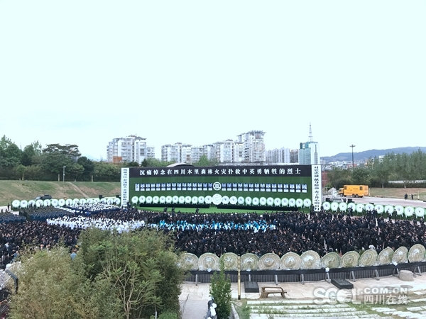 庐州古韵邂逅网红传奇