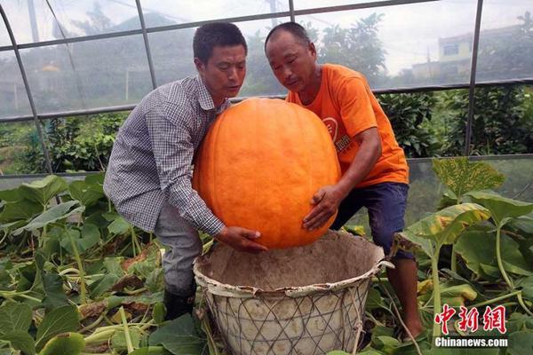 安徽民族吹打音乐会在肥举办