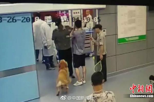 不得不看！森吧辣条福气系列是如何打造的？