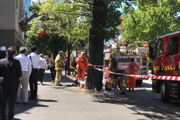 顶羊脱膻山羊奶，不腥膻、易吸收！高端品质，火爆招商！