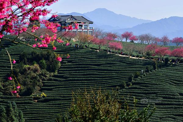 韩再芬将携《徽州女性》登陆安徽大剧院