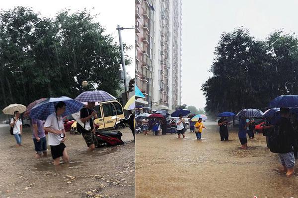 格蕾美藜麦粗粮饮料以实力加持，抢占市场前沿，代理就在当下！