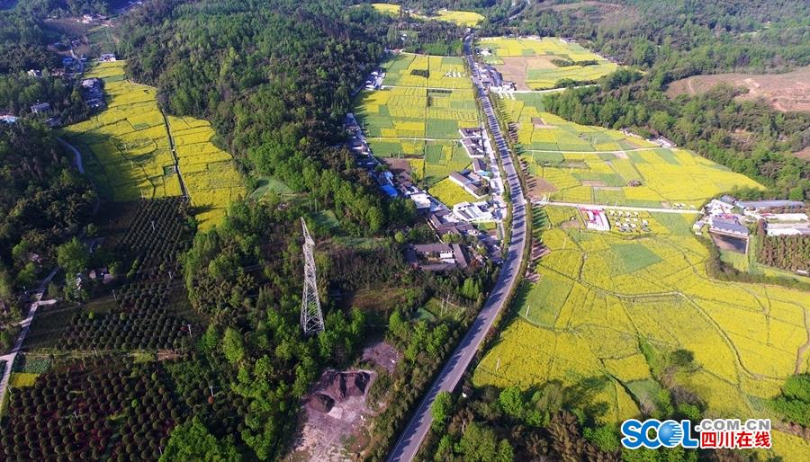 江苏确诊一例罕见传染病即“Q热”【健康】风尚中国网