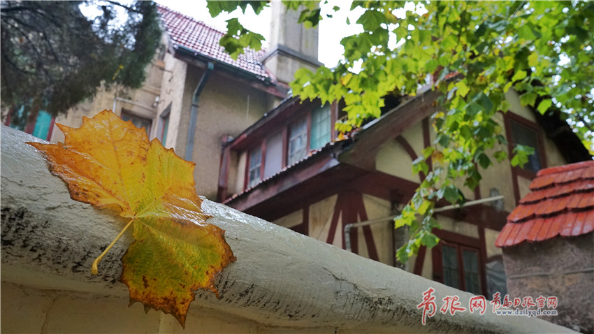 合肥市展开第29个全国“土地日”宣扬活动