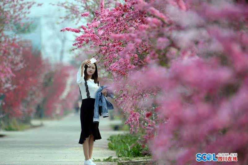 兴生代AD钙乳酸菌饮品：守护儿童成长，每一口都是满满营养！