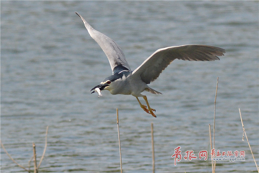 名家笔绘黄山景 做好文旅大文章