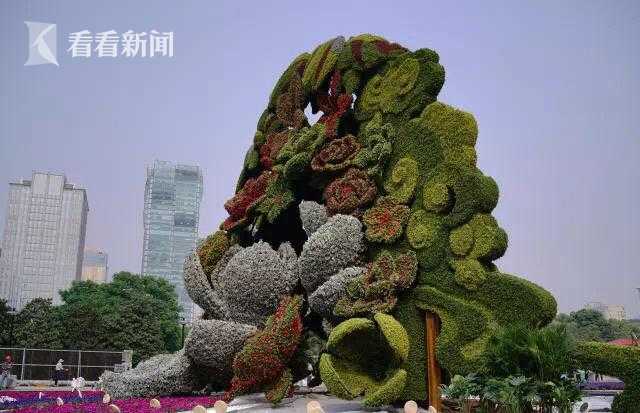 打破沉闷，拥抱清新，提前get2020年流行色，做时尚弄潮儿【数码&手机】风尚中国网