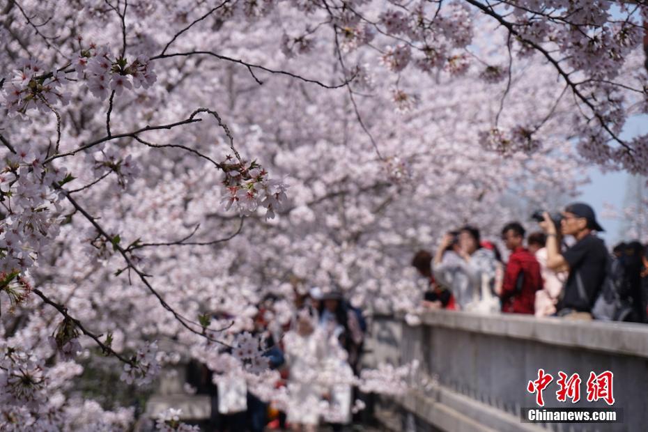 包河首家楼宇党建服务站启用