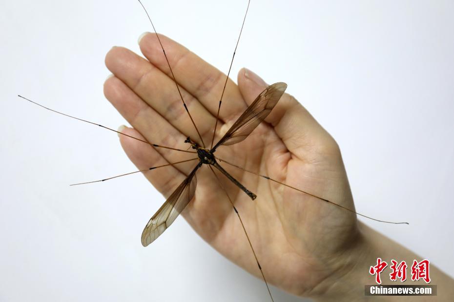我省拟评选推介文物活化使用优异事例