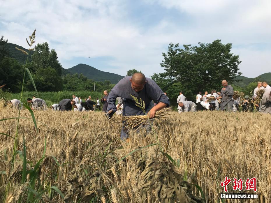 第三届杜岗葡萄节 迎七夕吟诵经典