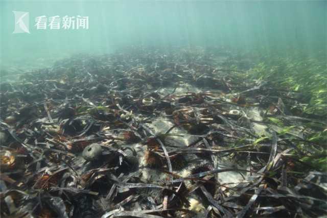 大龙山单车爬坡全民健身新风尚