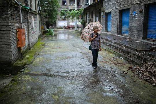 双港镇文明惠民暖人心