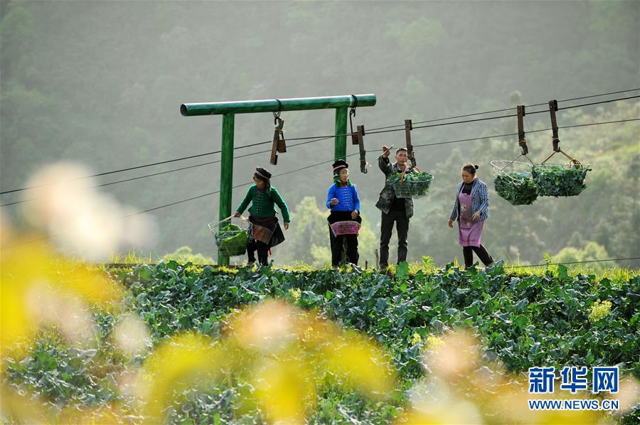 金寨县:文明惠民进村庄