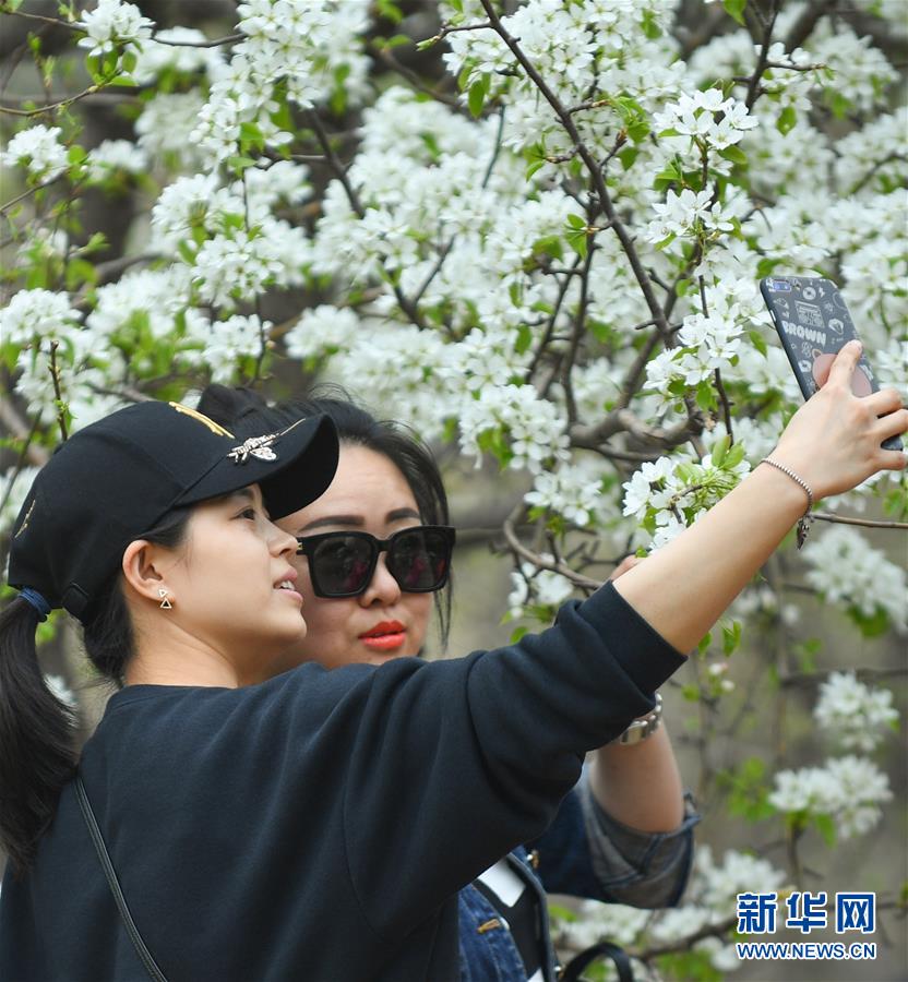 宏扬大禹精力 加快绿色开展