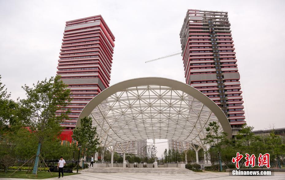 “殷商甲骨文”今起在安徽博物院（庐阳馆）展开