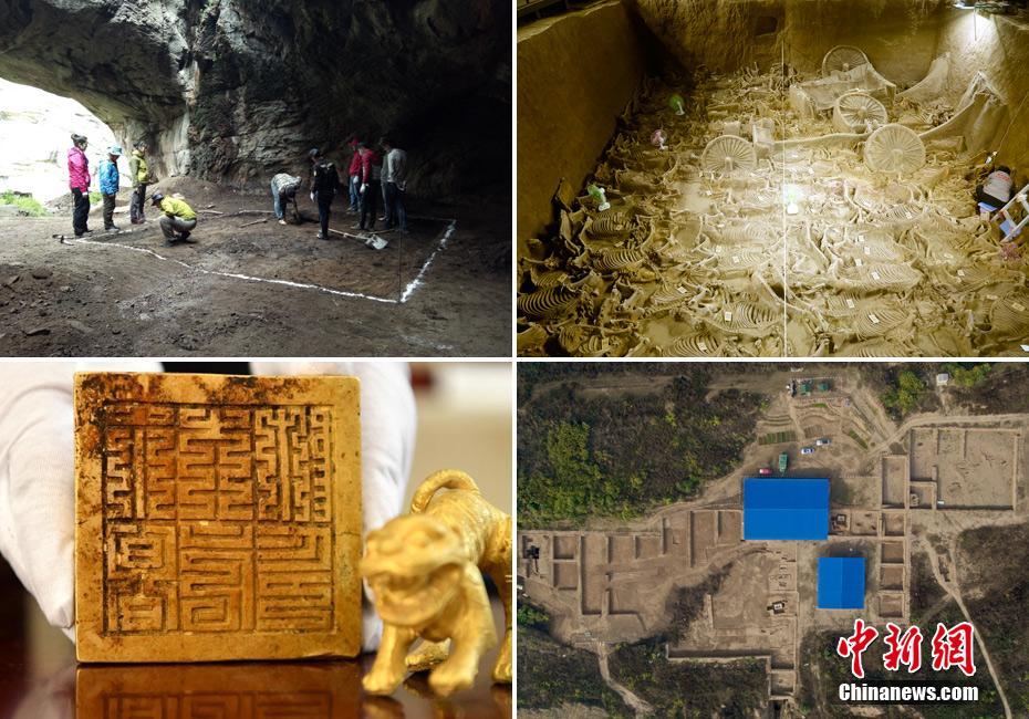 品味健康，旺季必备！多仑牧场发酵酸奶，爆品动销无压力！