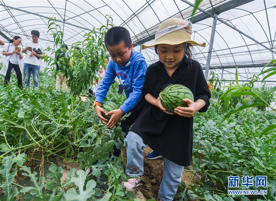徽州民宿为黄山旅行添生机
