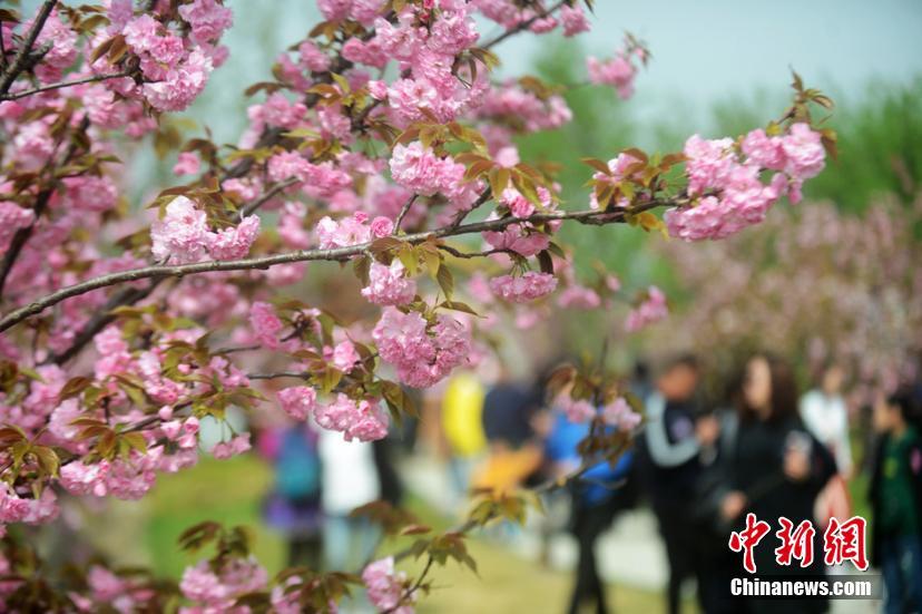 双节礼盒来了，品香苑糕点礼盒点着礼盒商场，爆品来袭！