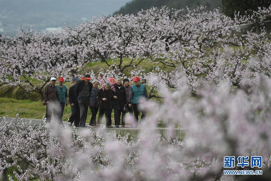 明光举办《老弯他们》新书发布会暨《安徽文学》明光站文学评讲会